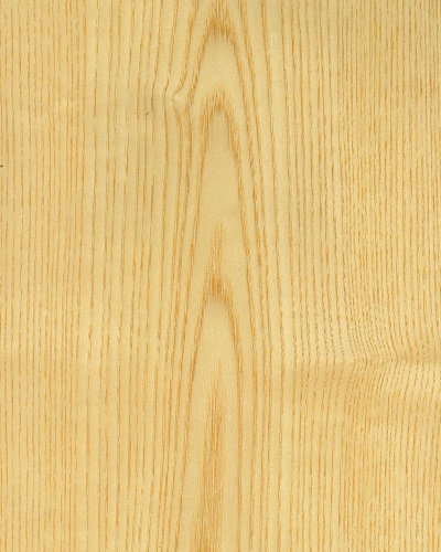 Veneer gỗ tần bì Châu Mỹ